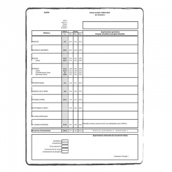 Transcript with comments - certified translation