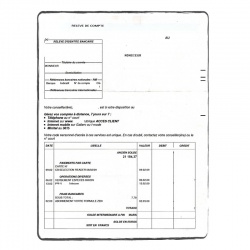 Bank Account Statement translation services|ACS Onlineshop