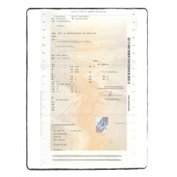 Vehicle Registration Certificate translation services |ACS Onlineshop