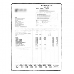 Payslip / Earnings statement - certified translation