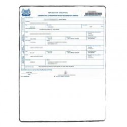 Birth certificate (short)