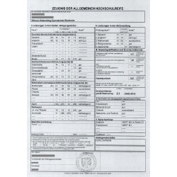 High school transcript translation services - ACS Onlineshop