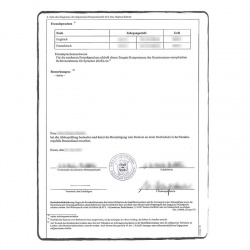 High school transcript translation services - ACS Onlineshop