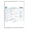 Birth Certificate translation services | ACS Onlineshop