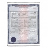 Birth certificate (long)