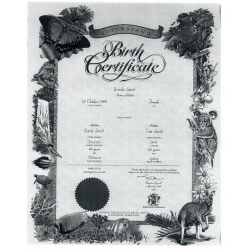 Birth Certificate translation services | ACS Onlineshop