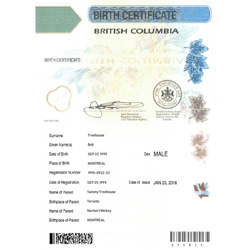 Birth Certificate translation services ACS