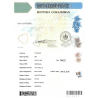 Birth Certificate translation services | ACS Onlineshop