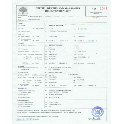 Birth certificate (middle)