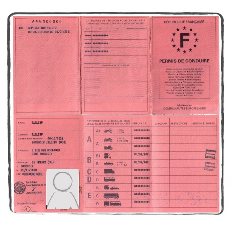 Certified & Official Translation Drivers's Licence ACS