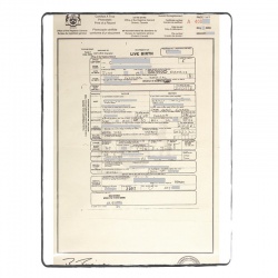 Birth certificate (middle)