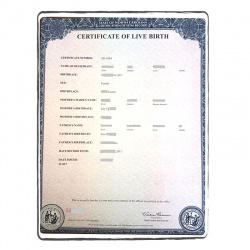 Birth certificate (short)