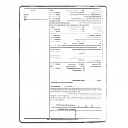 Birth Certificate translation services | ACS Onlineshop