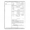 Birth Certificate translation services | ACS Onlineshop