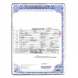 Birth certificate (short)