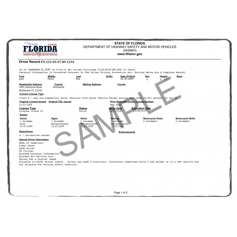 Driving Record translation services ACS