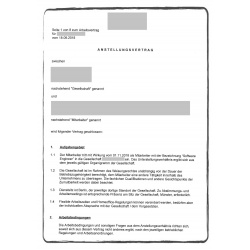 Employment contract DE