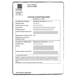 Birth Certificate translation services | ACS Onlineshop