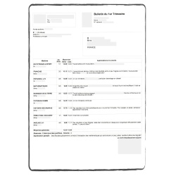 Certfied Translation Transcript with comments| ACSTraduction – Onlineshop